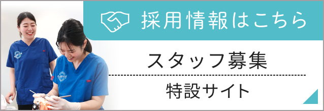 スタッフ募集特設サイト
